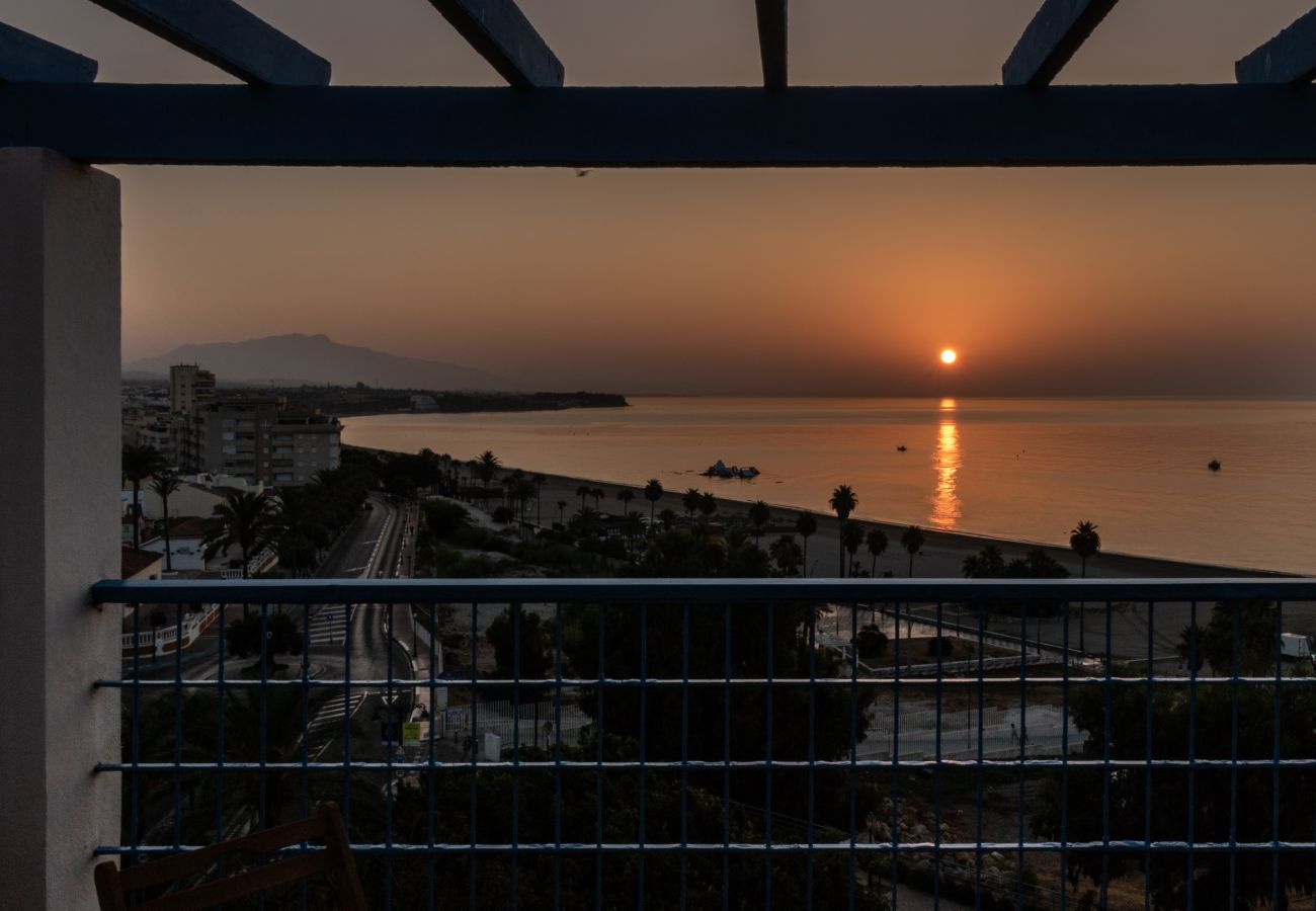 Apartamento en Estepona - Faro 462 Apartamento en Estepona - Faro 462