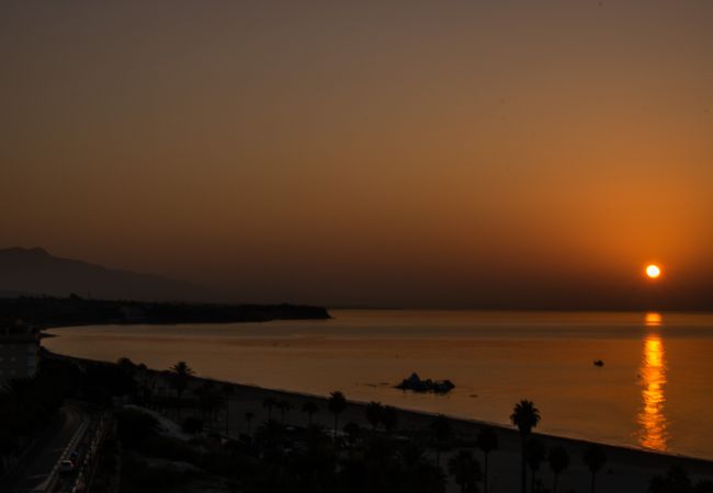 Apartment in Estepona - Faro 462 Apartment in Estepona - Faro 462